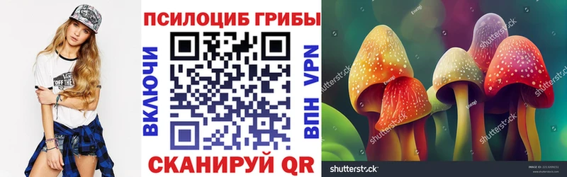 дарнет шоп  Северск  кракен   Псилоцибиновые грибы Psilocybe 
