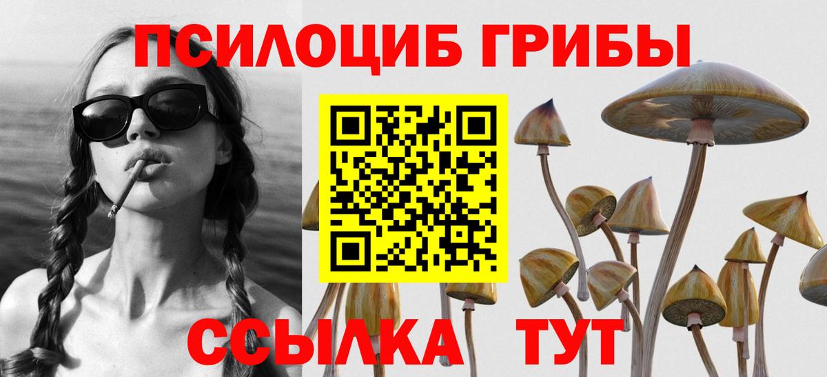 Северск  Галлюциногенные грибы мицелий  Вход с VPN 